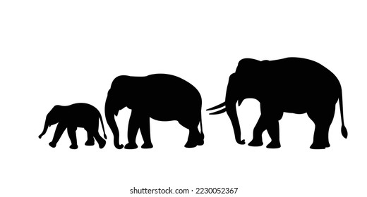 silhouette of an elephant with a baby elephant-vector illustration