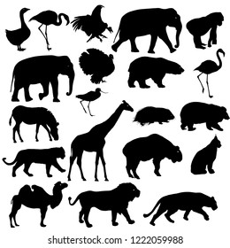 Silhouette elephant bear eagle trot duck zebra on a white background