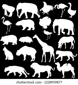Silhouette elephant bear eagle trot duck zebra on a white background