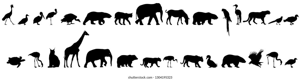 Silhouette elephant bear eagle trot duck zebra on a white background