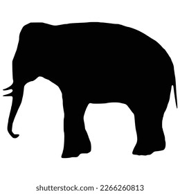 silhouette of an elephant Black elephant silhouette. Vector shadow. Laser cutting path