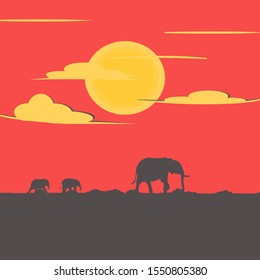 Silhouette elephant family with sunset scenery landscape, safari in Africa.