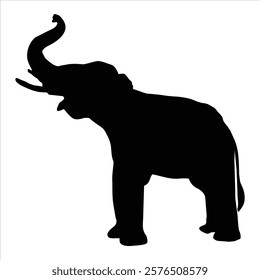 silhouette of a Elephant isolated on a white background.