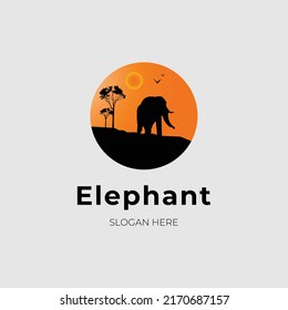 silhouette elephant logo design vector