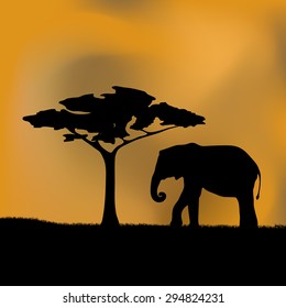 Silhouette of an elephant near a tree on a bright sunset.