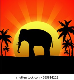 Silhouette elephant on a background sunset.