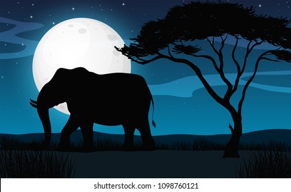 Elefante de la silueta en la noche de Savana