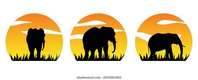 Silhouette of Elephant of the savannah. Wildlife concept.