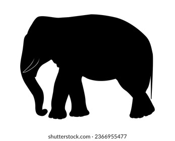 Silhouette de un elefante, vista lateral. Ilustración del vector aislada en fondo blanco