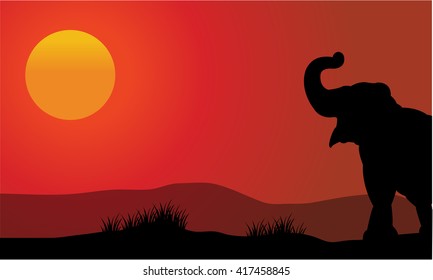 Silhouette of elephant at sunset with sun and red backgrounds