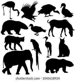 Silhouette elephant tiger bear giraffe flamingo pelican goose on a white background