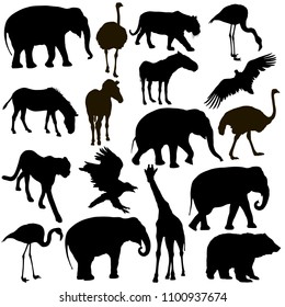 Silhouette elephant tiger bear giraffe flamingo pelican goose on a white background