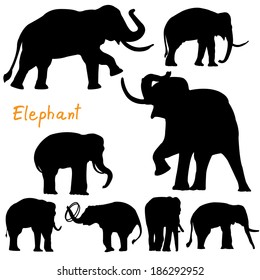 silhouette of elephant vector 