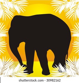 Silhouette of elephant. Vector