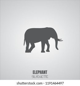 Silhouette of elephant. Vector illustration