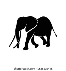 Silhouette elephant vector ilustration design black and white colour