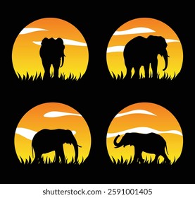 Silhouette of Elephant, Wildlife diversity and ecology of savanna.