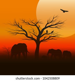 Silhouette of an elephants in the African desert