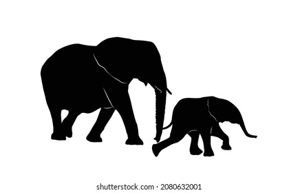 silhouette elephants family on white background. 