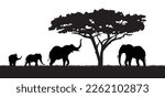Silhouette of elephants and tree. African savannah and animals in jungle near tree. Minimalistic creativity and art. Parents and children, wild life and fauna. Cartoon flat vector illustration