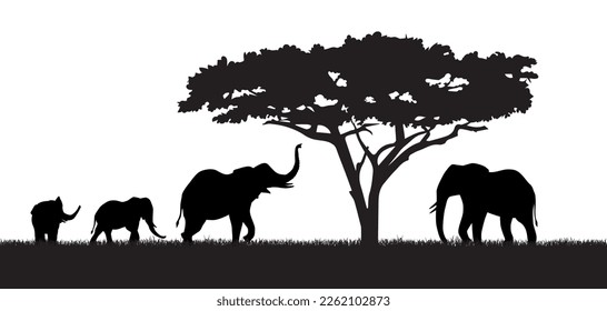 Silhouette de elefantes y árboles. Sabana africana y animales en la selva cerca del árbol. Creatividad minimalista y arte. Padres y niños, vida silvestre y fauna. Dibujo vectorial plano de dibujos animados