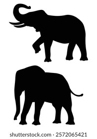 Silhouette of Elephants Walking Across the Horizon