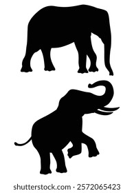 Silhouette of Elephants Walking Across the Horizon