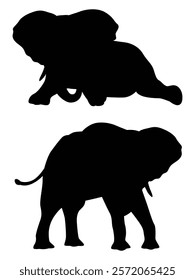 Silhouette of Elephants Walking Across the Horizon