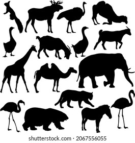 Silhouette elk, bear, goose, zebra, flamingo, elephant on a white background