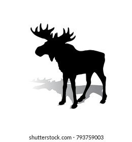 Silhouette of an elk with beautiful horns, a herbivore on a white background, vector