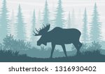 Silhouette. Elk with big horns on the background of Canadian fir trees. The nature of Canada, USA, Scandinavia and Europe. Realistic vector landscape.
