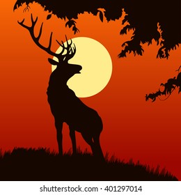 silhouette of elk in the natural environment. elk on the sunset background. isolated elk on the hill 