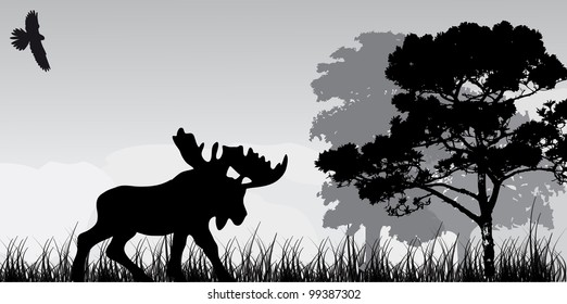 silhouette of elk and tree