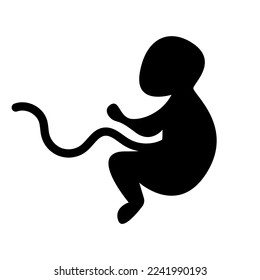 Silhouette of embryo child. Vector illustration