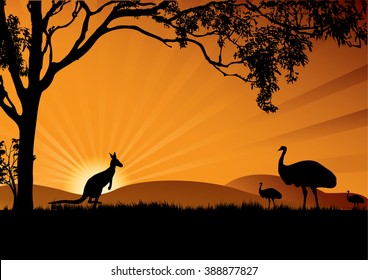 a silhouette of emus and kangaroo in the sunset