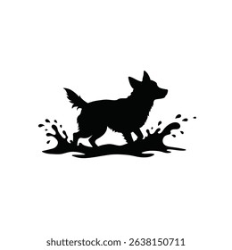Silhouette: Energetic Dog Splashing Through Water  Playful Canine