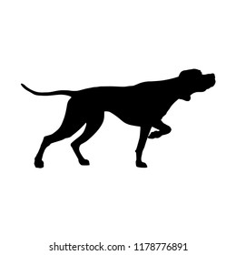 Silhouette of English pointer. Gun dog breed. Vector illustration isolated on the white background
