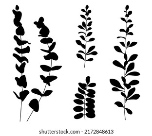 5,822 Eucalyptus branch silhouette Images, Stock Photos & Vectors ...