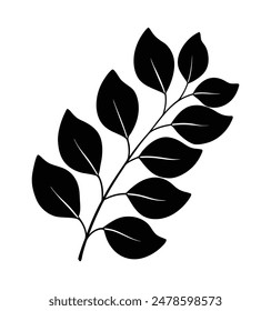 Silhouette of Eucalyptus Leaves on Branches