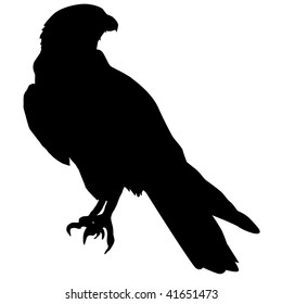 Silhouette Of Falcon