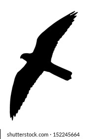 Silhouette of the Falcon (bird). Can be used as Falcon (raptor) Silhouette Window Sticker to prevent birds from flying and killing themselves to the building windows.