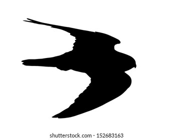 Silhouette Falcon Fast Flight Stock Vector (Royalty Free) 152683163 ...