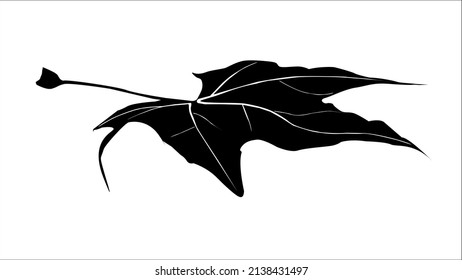 Silhouette of a fallen leaf