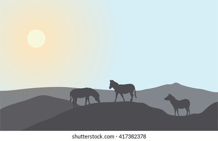 Silhouette of family zebra at the noon