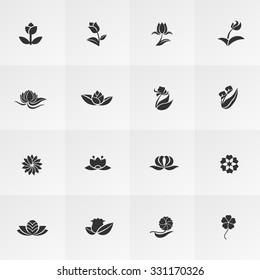 Silhouette fantasy logo shape flower such as lotus rose tulip sunflower daisy clover leaf and other icon collection set, create by vector
