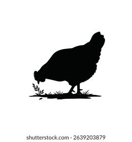 Silhouette: Farm Hen Foraging - Pecking for Grains