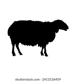 Silhouette of a farm sheep. Vector illustration isolated on a white background
