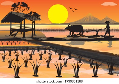 Silhouette Farmer Plow In Paddy Field Vector Design