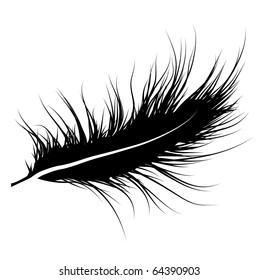 Silhouette of feather