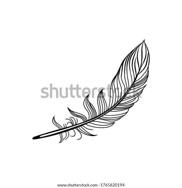 Silhouette Feathers White Background Chicken Animal Stock Vector ...